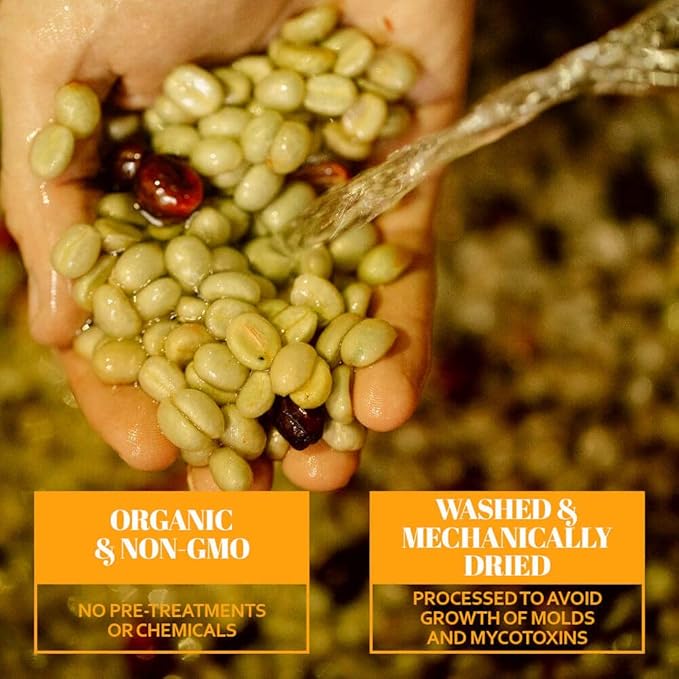 Mavericks Low Acid Coffee - Midnight Ride Blend - Organic and Non-GM0 (Coffee Ground) 16 oz - Bold and Smooth Dark Roast with 90% Less Acid - Safe for GERD and Keto Diets