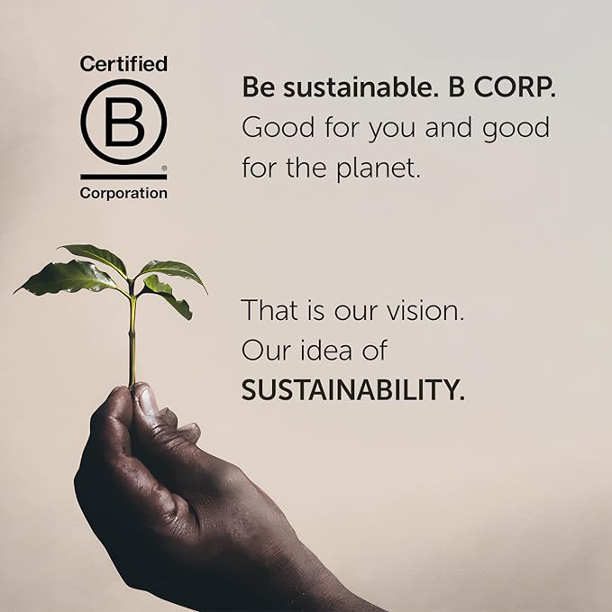 Illy Caffe Coffee - Ground Coffee - Medium Roast for Drip Coffeemakers - 8.8 oz - Case of 6