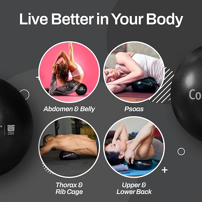 Tune Up Fitness – Coregeous Ball | Psoas Release Tool, Abdominal, Belly & Lower Back Release | Core Ball, Exercise Ball for Low Back, Stress & Digestive Relief, Improved Breathing & Sleep (Graphite)