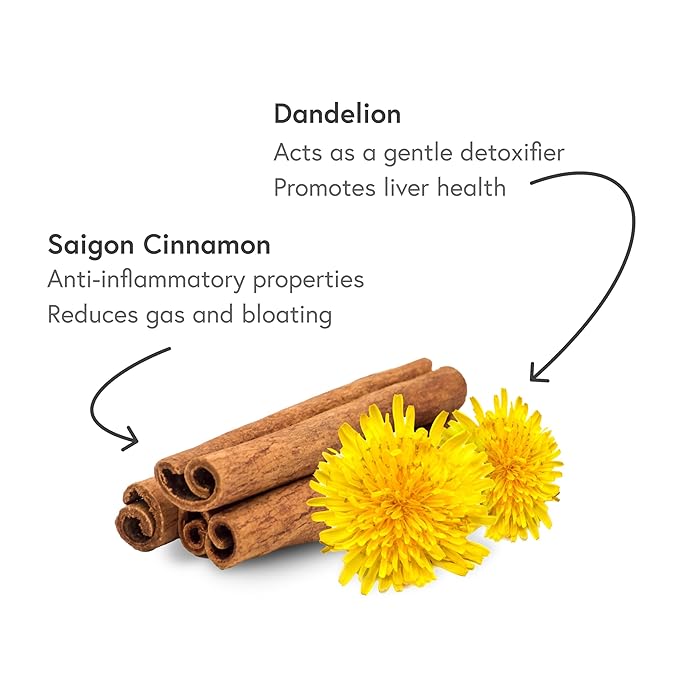 Fabula Herbal Tea: Digestive - 20 Sachets - Dandelion, Chicory, Burdock, Saigon Cinnamon, Eleuthero, Maca Powder