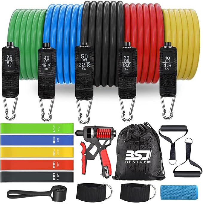 Resistance Bands,Exercise Bands,Resistance Bands for Working Out with Handles for Men and Women,Workout Bands with Door Anchor and Ankle,Strength Training Home Gym Equipment