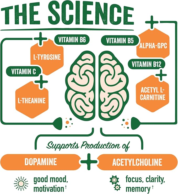 BrainJuice Active Focus & Energy Drink Shots, Supports Endurance, Recovery & Clarity, Non-GMO, Gluten Free, Nootropics, Alpha GPC, B Vitamins & Organic Green Tea, Pomegranate Acai, 2.5 fl oz, 12 Pack