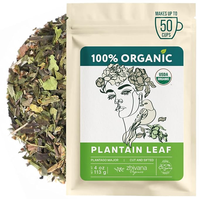 Plantain Leaf Organic (4 oz.) – Broadleaf Plantain Tea Loose Leaf (Plantago Major) – Llanten Planta Medicinal - Herbal Tea for Digestion, Respiratory Health & Detox