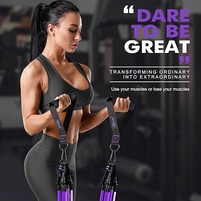 HPYGN Resistance Bands, Exercise Bands with Handles, Fitness Bands, Workout Bands with Door Anchor and Ankle Straps, for Heavy Resistance Training, Physical Therapy, Shape Body, Yoga, Home Workout Set