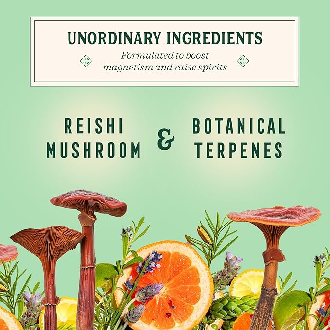 Little Saints Non-Alcoholic Drinks Variety Pack - Sugar Free & Zero Proof Mocktails Include Ginger Mule, Negroni Spritz, Spicy Margarita & Paloma - Ready-to-Drink Beverage for Parties & Celebrations (8oz, 12 pk)