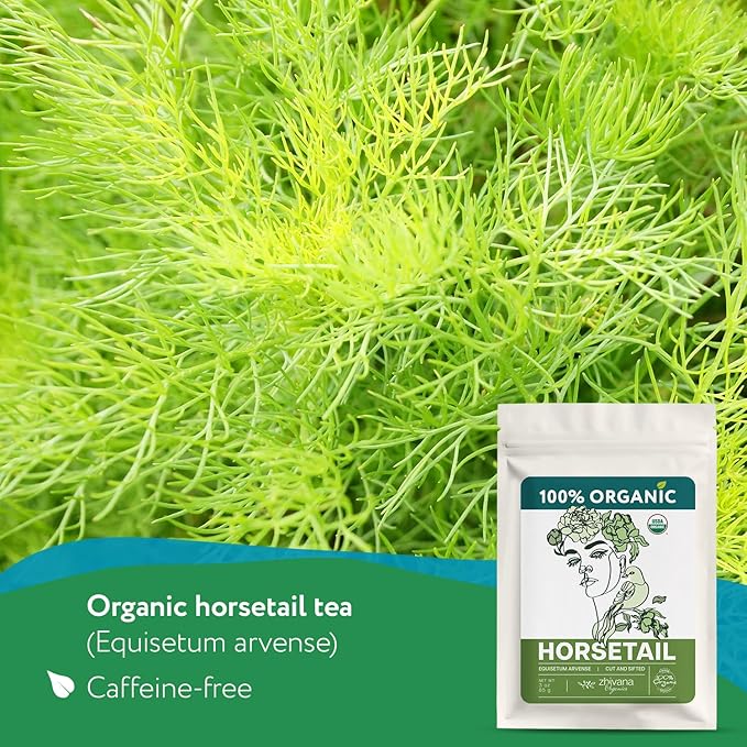 Organic Horsetail (4 oz.) (Equisetum arvense) ā Loose Dried Herb ā Edible Grade for Tea, Infusions & Herbal Blends