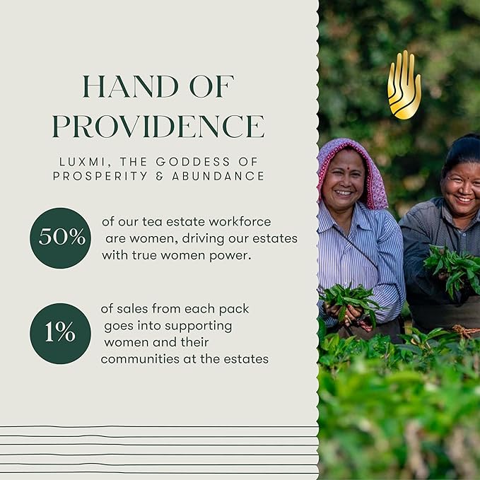 Luxmi Estates, Midnight Bloom, Organic Jasmine Tea (Loose Leaf 100g) Jasmine and Darjeeling Green Tea for Energy with no Jitters, Natural Aid Relieve Stress, Improved Mental Clarity and Immunity