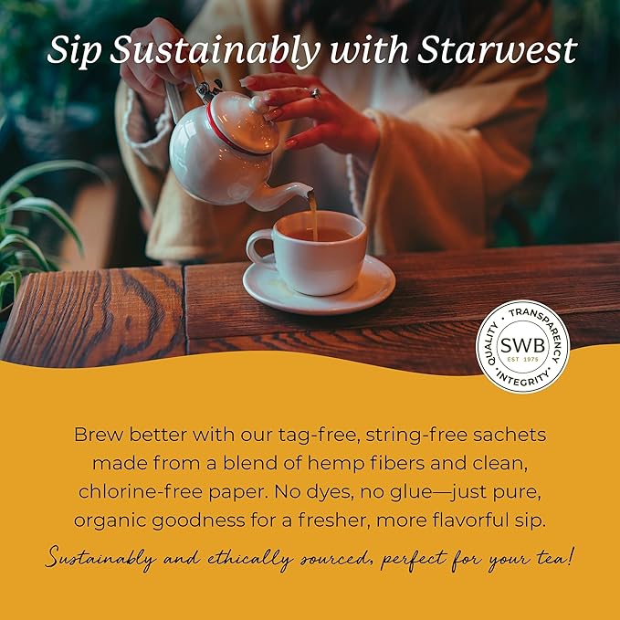 Starwest Botanicals Organic Turmeric Ginger Tea - Caffeine Free Herbal Tea with Turmeric, Cinnamon, & Ginger, Tea with Antioxidant Properties, String Free Sachets, Non GMO - 20 Tea Bags