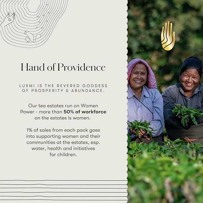 Luxmi Estates English Breakfast Tea 250g Loose Leaf Tin | A Tale of Two Estates | Certified Organic Black Tea leaf | Smooth, Flavorful, Robust, Caffeinated | Darjeeling & Assam Tea from India | 125 Cups