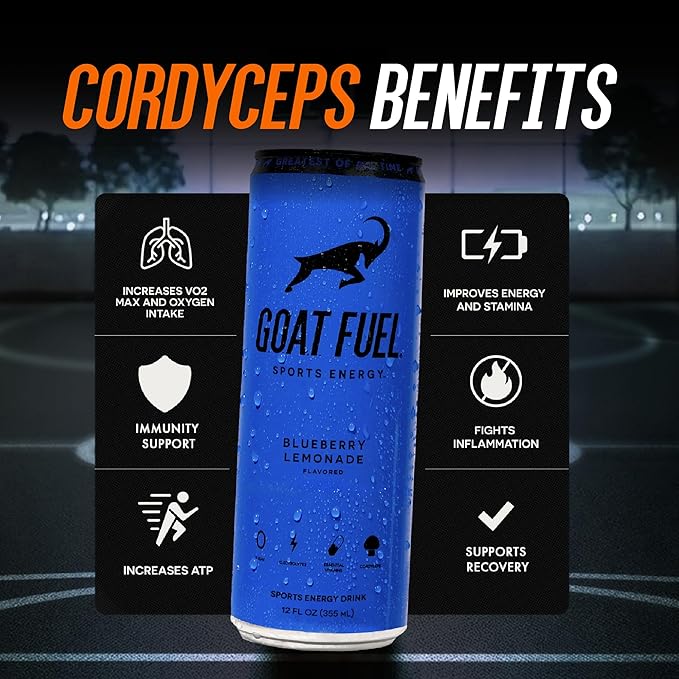 G.O.A.T. Fuel Energy Drink, Co-Founded by Jerry Rice, Natural Caffeine, Electrolytes, BCAAs, Cordyceps Mushrooms & Antioxidants, Light Carbonation Pre Workout, 12 Pack, 12 FL Oz, Blueberry Lemonade