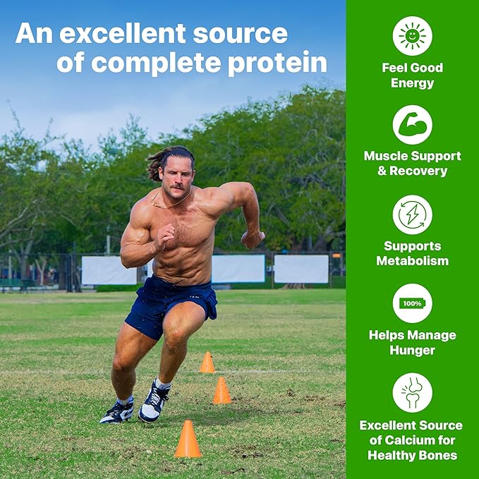 Orgain 38g High Protein Shake, Dairy Isolate Protein Milk, Vanilla, 6g BCAAs, 1g Sugar Per Serving, Meal Replacement, Ready to Drink, Keto Friendly, Gluten-Free 14 Fl Oz (Pack of 12)