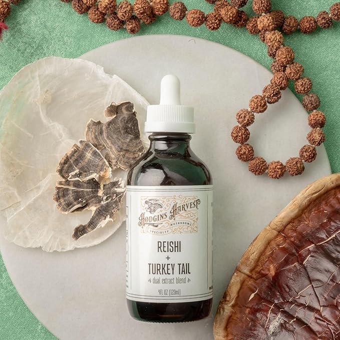 Hodgins Harvest Reishi + Turkey Tail Tincture | Made with Mushrooms Grown On Our Farm in The USA | Dual Extract | Extra-Concentrated (4 fl oz)