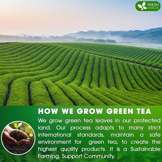 FreshDrinkUS, Premium 120 Green Tea Bags, 100% Natural & Pure from Green Tea. Green Herbal Tea. Made with Natural Material Tea Bags. No Sugar, No Gluten, Vegan