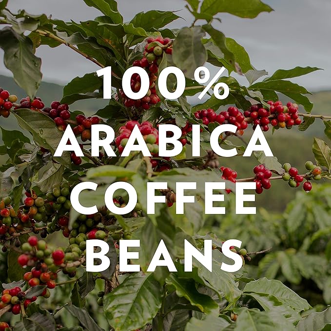 Community Coffee Café Special Blend Ground Coffee, Medium-Dark Roast, 32 Ounce Bag (Pack of 4)