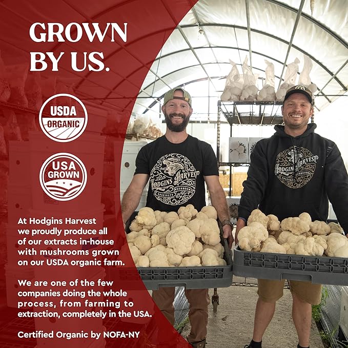 Hodgins Harvest Reishi + Turkey Tail Tincture | Made with Mushrooms Grown On Our Farm in The USA | Dual Extract | Extra-Concentrated (4 fl oz)