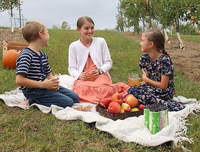 Kauffman Orchards Sparkling Apple Cider, 12 oz. Can (Pack of 6)