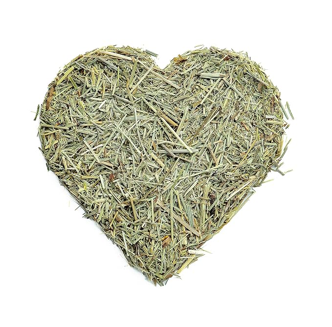 Super Value Pack 5 LB - Organic Horsetail (Equisetum arvense) ā Loose Dried Herb ā Edible Grade for Tea, Infusions & Herbal Blends