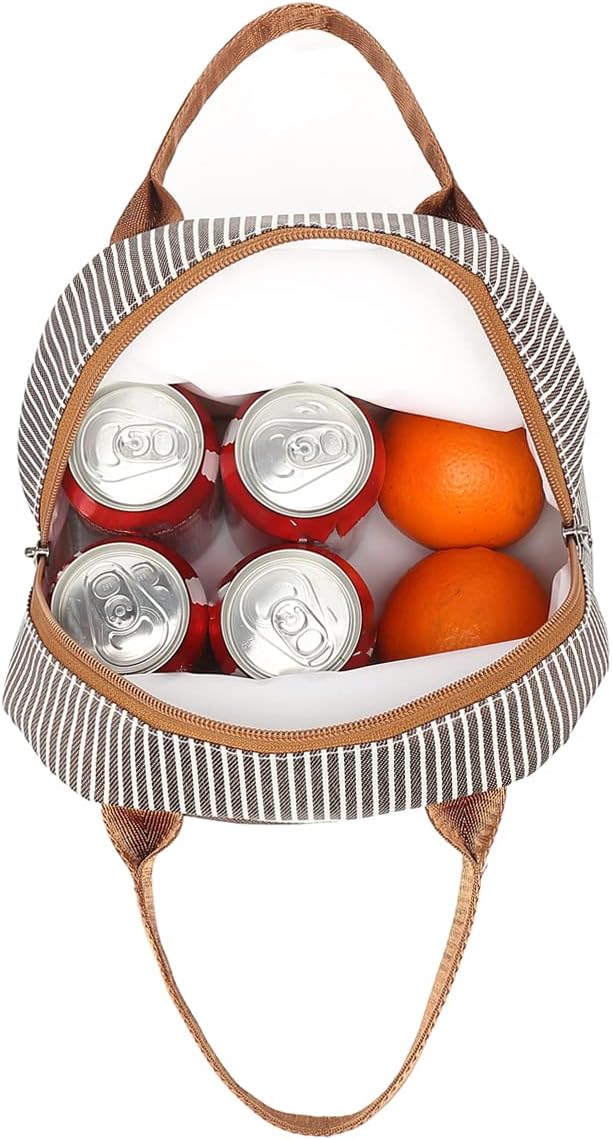 FlowFly Insulated Lunch Cooler Bag - Tote Bag Organizer for Women/Men, Coffee