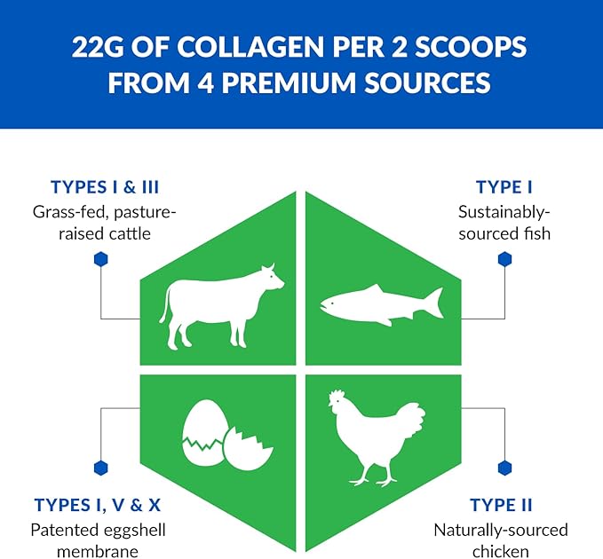 BioTrust Collagen Powder with Turmeric – 5 Types (I, II, III, V, X) – Turmeric Collagen Powder for Women & Men – Hydrolyzed Protein – Grass Fed Beef, Fish, Chicken, Eggshell Membrane (Golden Milk)