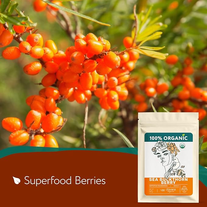 Super Value Pack - Organic Sea Buckthorn Berry Tea 5 LB - Seabuckthorn, Seaberry, Espino Amarillo