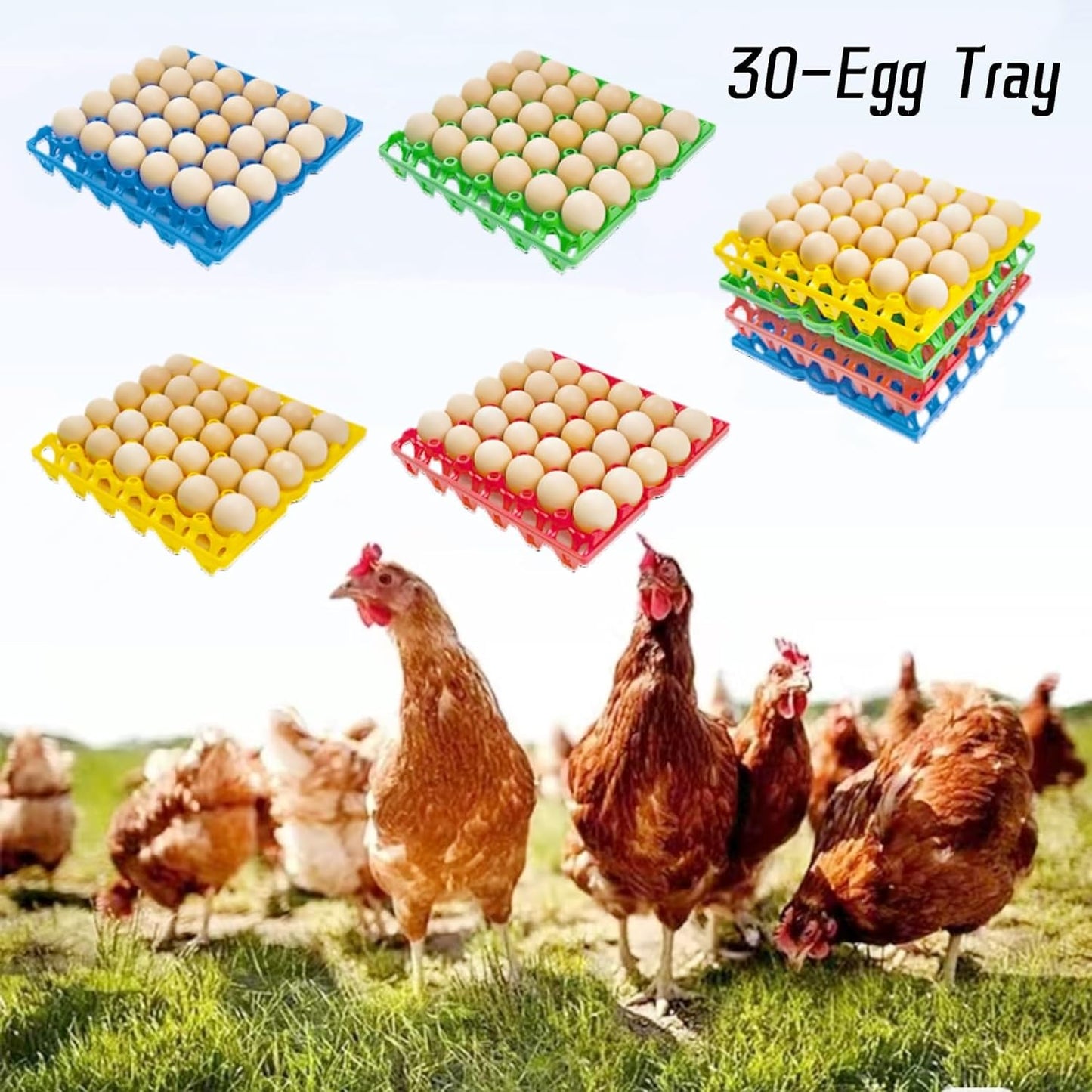 4-Pack Plastic Egg Tray Egg Crates 30-Egg Flats for Home Chicken Farmers, Stackable Egg Cartons Hold Multiple Eggs, Great for Storing, Sorting, and Shipping Eggs, Durable and Reusable (Blue)