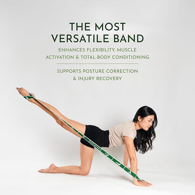 Stretching Strap: HEAVY Resistance Band, Stretch Strap with Loops for Yoga, Pilates, Dance, Physical Therapy, Gymnastics, Yoga Strap for Stretching, Workout, Flexibility