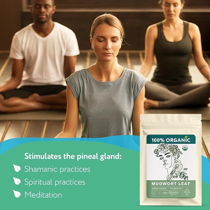 Mugwort Tea Organic Loose Leaf (4oz) – Mugwort Herb - Artemisia Hierba Seca Organica – Dried Mugwart Leaves