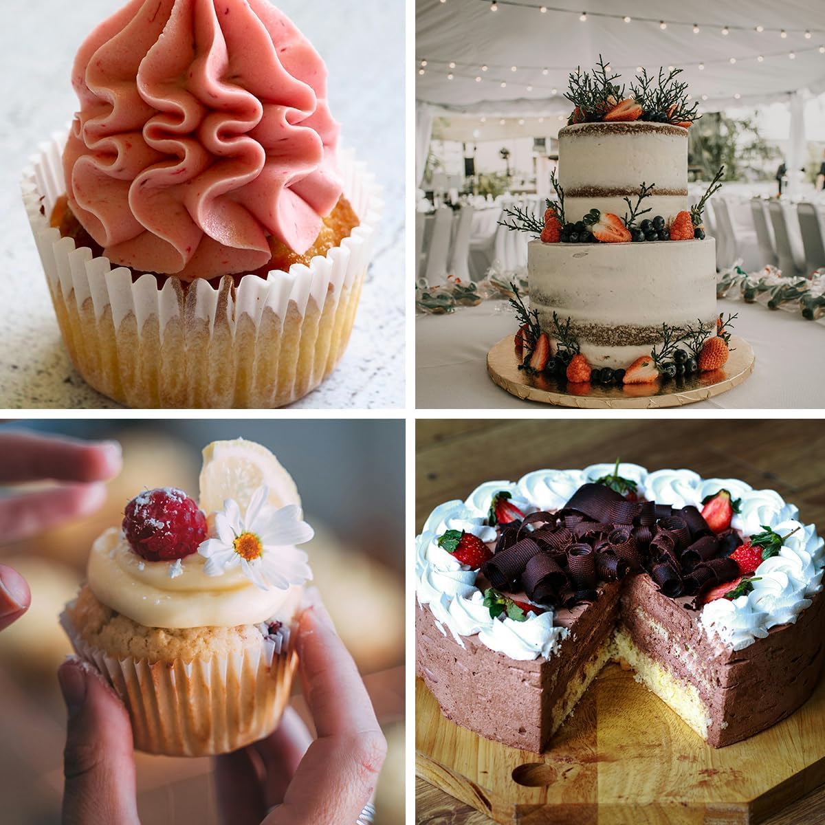 Cake Decorating Supplies Kit - Cake Turntable Set with 48 Icing Piping Tips, 20 Disposable Pastry Bags, 2 Couplers, Baking Tools for Beginners