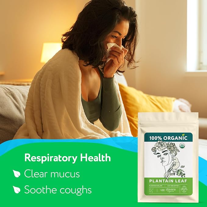 Plantain Leaf Organic (4 oz.) – Broadleaf Plantain Tea Loose Leaf (Plantago Major) – Llanten Planta Medicinal - Herbal Tea for Digestion, Respiratory Health & Detox