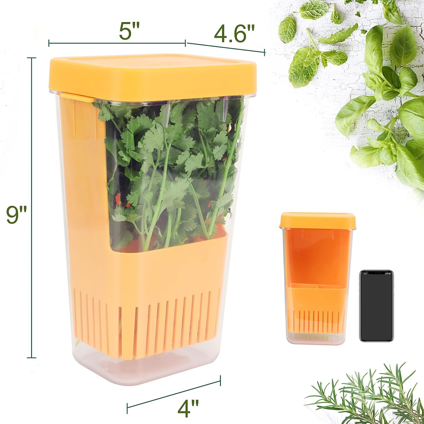 Fresh Herb Keeper for Refrigerator, Clear BPA-Free Herb Saver, Storage Container for Cilantro, Parsley, Thyme, Mint & Asparagus, Preserver Keeps Fresh Herbs for 3 Times Longer, Orange
