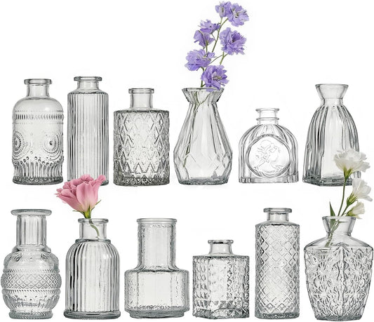 Glass Bud Vase Set of 12 Pcs Small Minimalist Vases for Flowers, Vintage Rustic Home Decor for Table Centerpiece Wedding Party, Modern Clear Aromatherapy Bottle for Living Room Bedroom