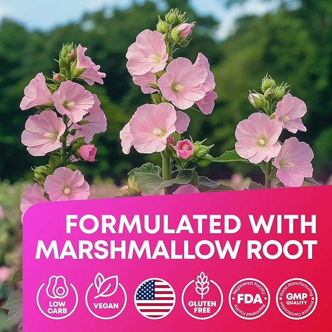 JOYLI Nutrition (2 Pack Advanced Keto ACV Gummies - Sugar Free Apple Cider Vinegar - Keto Supplements + Marshmallow Root - Alternative to Apple Cider Vinegar Capsules - 120 Gummies