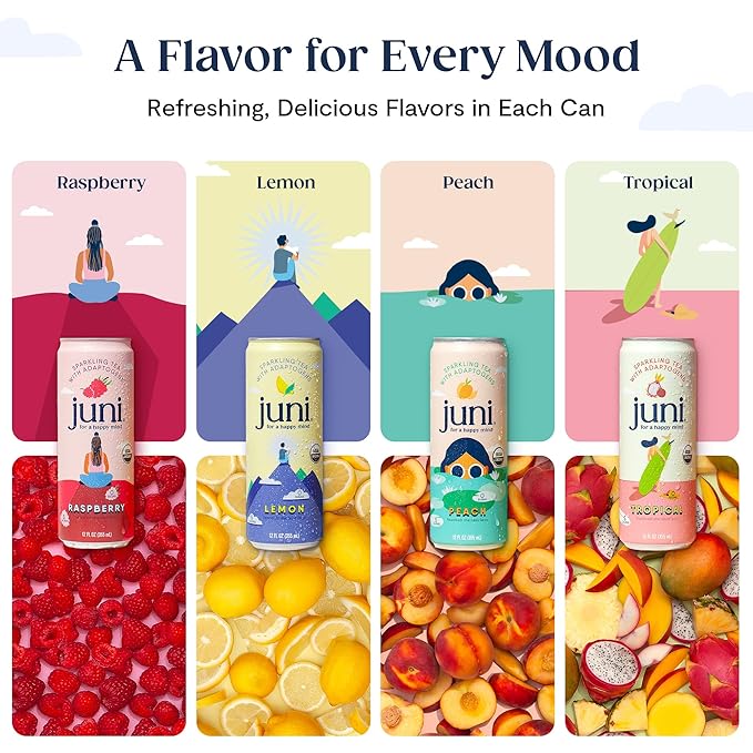 Juni Sparkling Adaptogen Drink with Ashwagandha, Lion’s Mane & Reishi Mushrooms | Green Tea for Focus, Zero Sugar, 5 Calories, Organic | Non Alcoholic Drinks - Variety Pack 12 pack