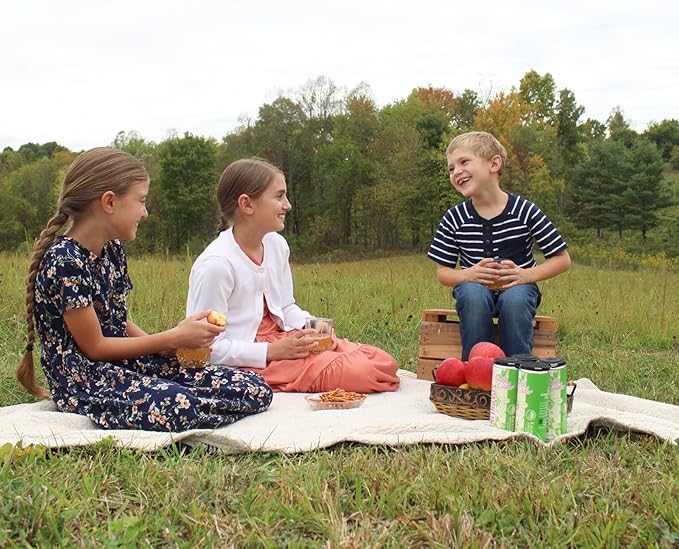 Kauffman Orchards Sparkling Apple Cider, 12 oz. Can (Pack of 12)