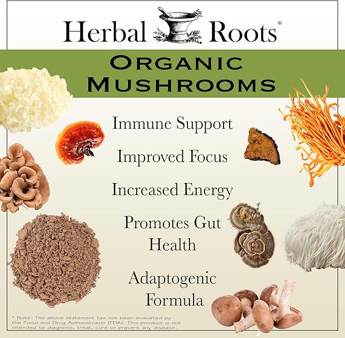 Herbal Roots Certified Organic Skin Health Trio, Apple Cider Vinegar, Fruiting Body Mushroom Blend, Black Elderberry,