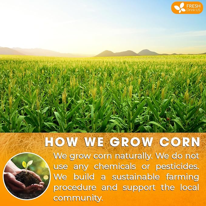 FreshDrinkUS, Premium 135 Tea Bags Corn Silk Tea, 100% Natural & Pure from Corn Silk. Corn Silk Herbal Tea. Clean Ingredients. Made with Natural Material Tea Bags. No Sugar, No Caffeine, Vegan.