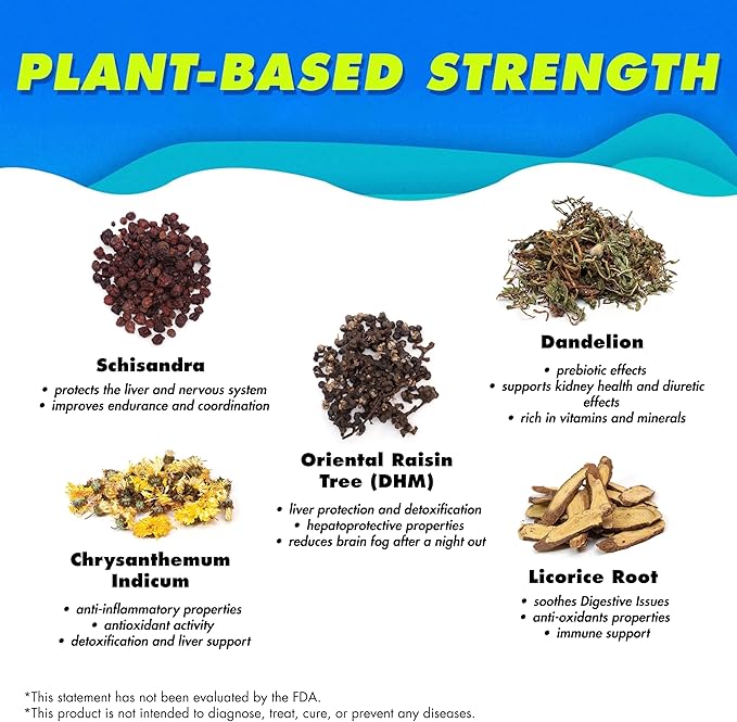 The Plug Liver Cleanse Detox & Repair Drink - Plant Based Herbal Electrolyte Drink for Liver Support & Health, Bloating Relief, Restore Antioxidants & Minerals | Liver Complex Energy Drink (2-Pack)