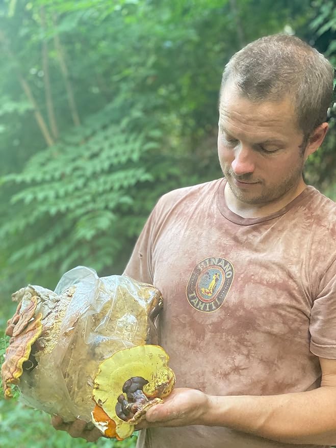 Hodgins Harvest Organic Reishi Tincture | Made with Mushrooms Grown On Our Farm in The USA | Dual Extract | Extra-Concentrated (4 fl oz)