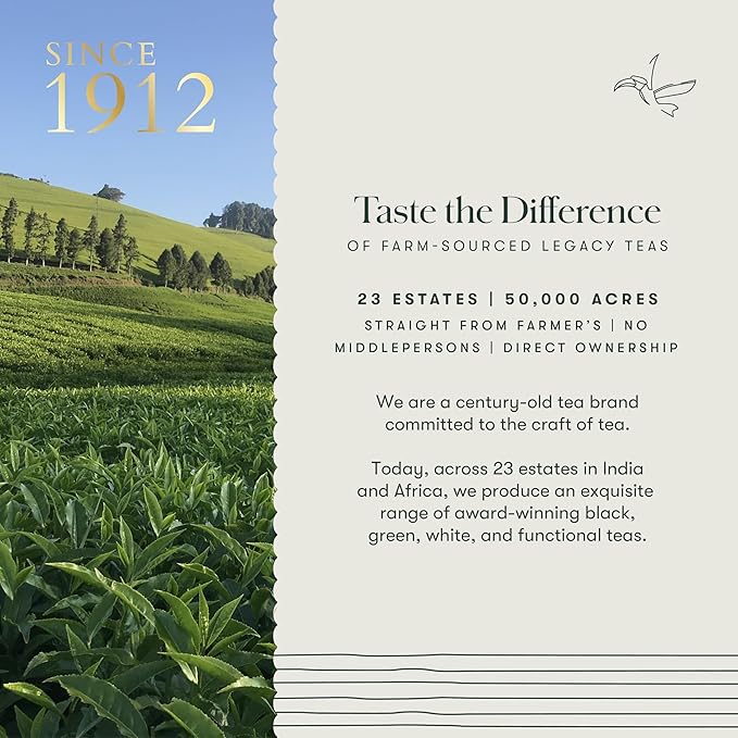 Luxmi Estates Moringa Mint Organic Moringa Mint Green Tea (50 Tea Bags) Caffeine Free Tea Bags For Digestion, Detox, and Stress Relief, With Certified Organic Herbal Tea