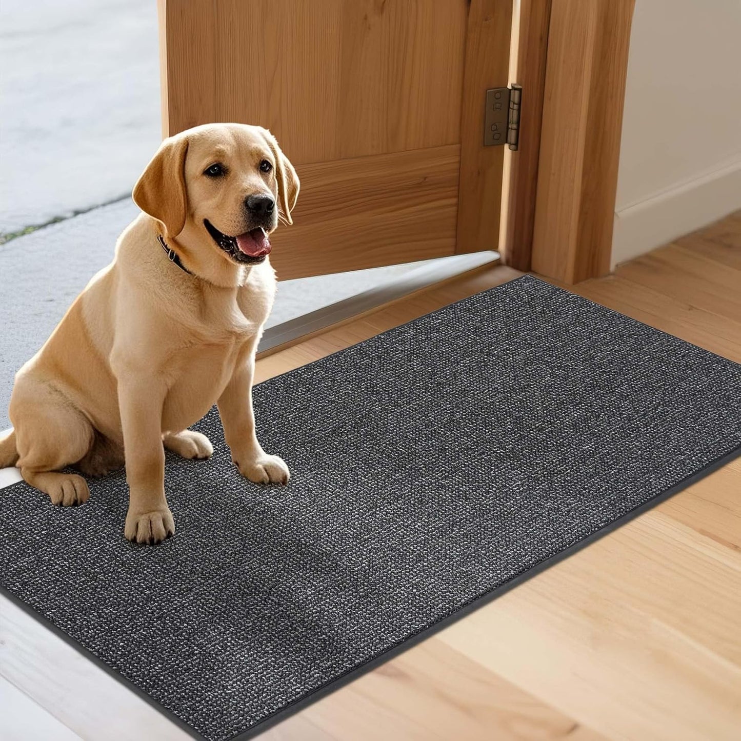 JSEI Dirt Trapper Door Mat 24"x60" Non-Slip Washable Entrance Mat, Dog Doormats, Absorbent & Fade-Resistant Floor Mats, Low Profile Welcome Mats for Entryway, Front Door, and Inside Entrance,Dark Grey