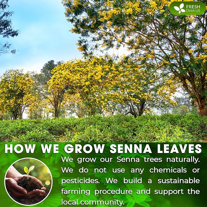 FreshDrinkUS, Permium 10oz Senna Leaves, 100% Natural & Pure from Senna Leaves, Senna Leaf Tea, Senna Loose Leaf Herbal Tea, No Additives, No Caffeine, Vegan