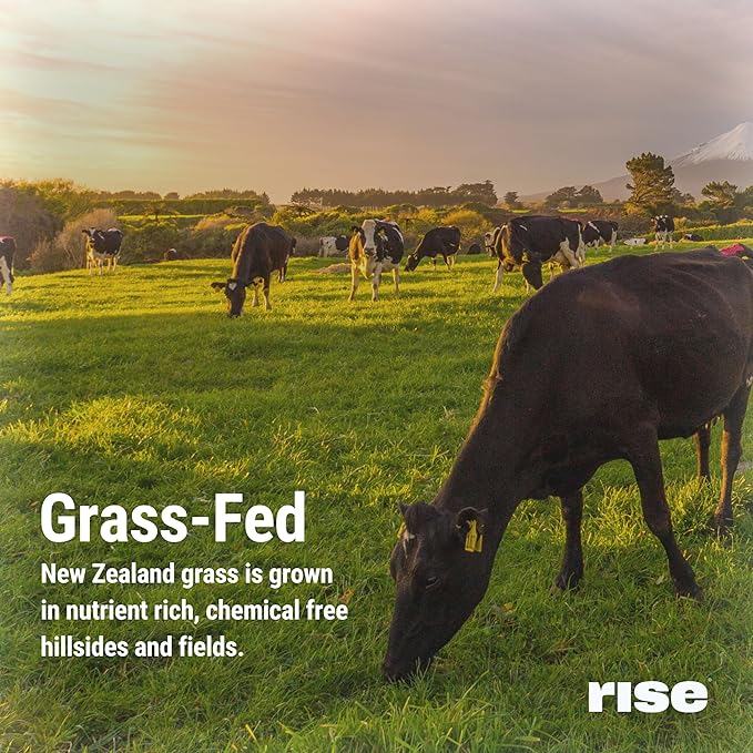 Rise Grass-Fed Whey Protein Powder - Mint Chocolate | 25g Protein No Artificial Flavors, Colors, or Preservatives - Sugar Free, Gluten-Free, Soy Free (Single Serving, 1 Pack)