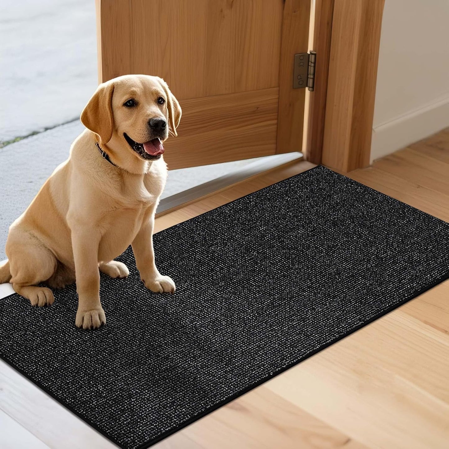 JSEI Dirt Trapper Door Mat 24"x60" Non-Slip Washable Entrance Mat, Dog Doormats, Absorbent & Fade-Resistant Floor Mats, Low Profile Welcome Mats for Entryway, Front Door, and Inside Entrance, Black